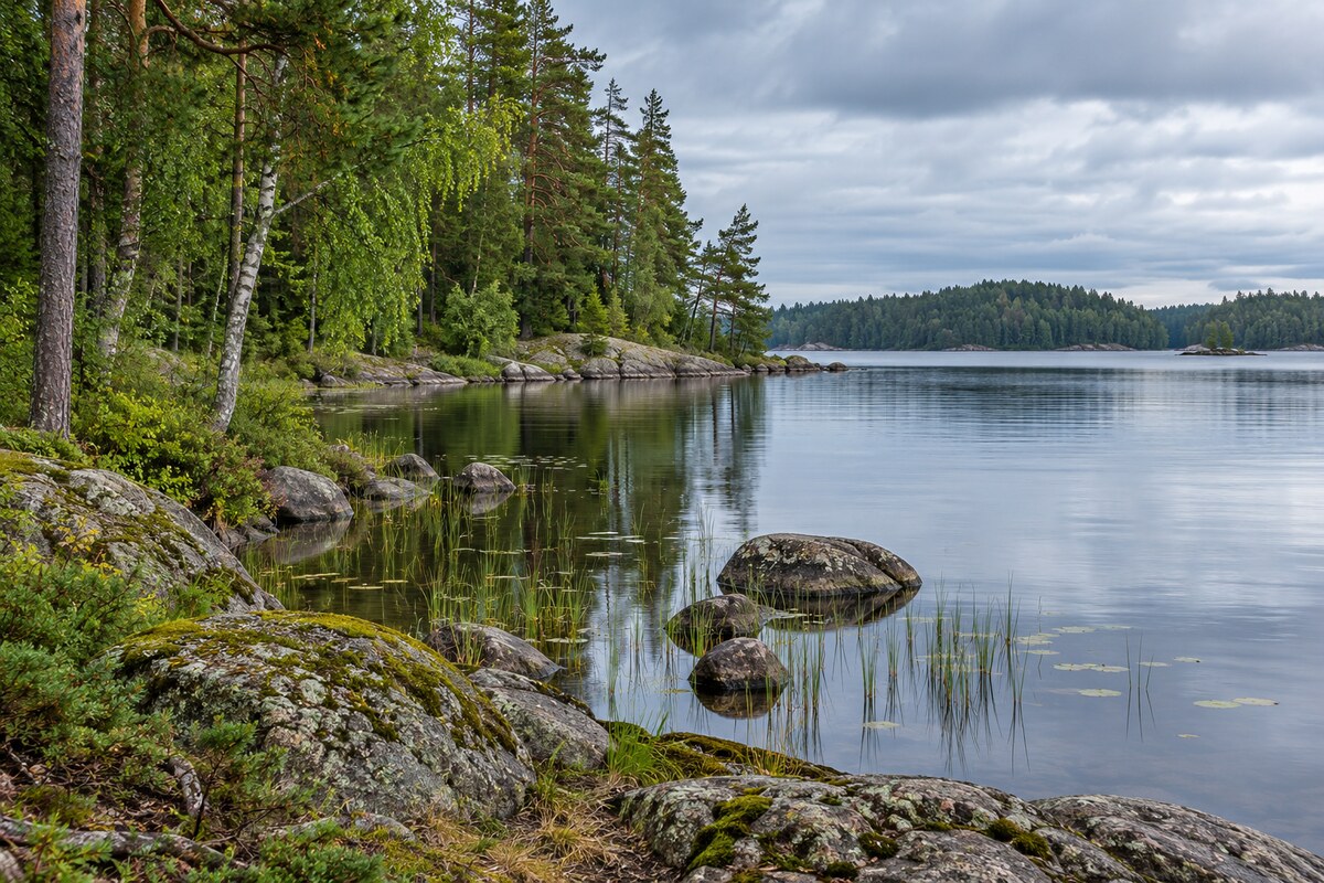 Lake and forests in northwestern Russia