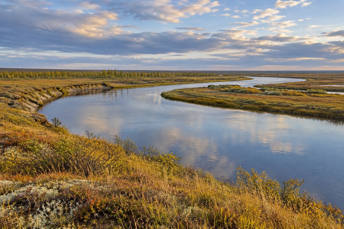 West Siberian lowland landscape