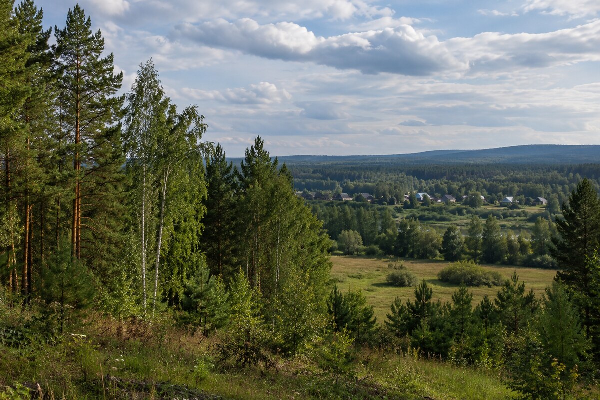 Taishet regional landscape Mixed woodland and village near Taishet