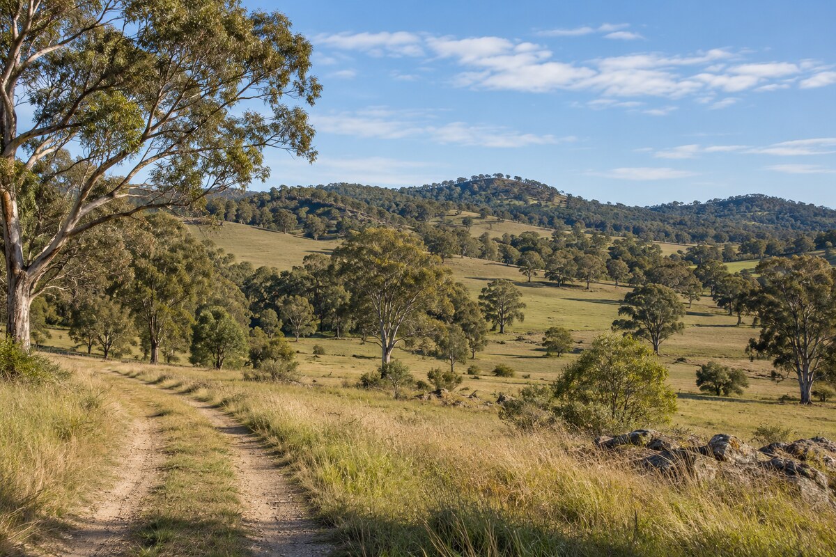 Hunter region Hunter region landscape
